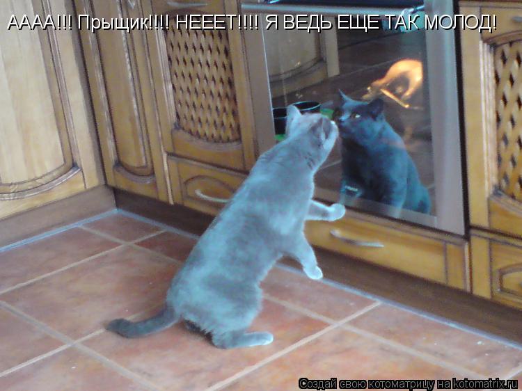 АААА!!! Прыщик!!!! НЕЕЕТ!!!! Я ВЕДЬ ЕЩЕ ТАК МОЛОД!... Котоматрица: АААА!!! Прыщик!!!! НЕЕЕТ!!!! Я ВЕДЬ ЕЩЕ ТАК МОЛОД!