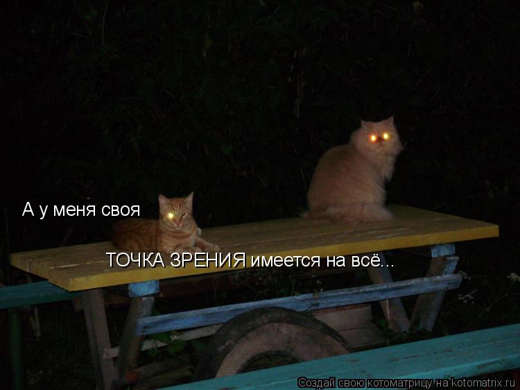 А у меня своя ТОЧКА ЗРЕНИЯ имеется на всё...... Котоматрица: А у меня своя ТОЧКА ЗРЕНИЯ имеется на всё...