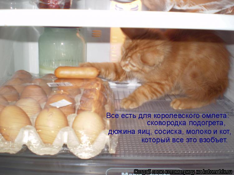 и кот, дюжина яиц, сосиска, молоко который все это взобъет. сковородка подогрета, Все есть для корол... Котоматрица: и кот, дюжина яиц, сосиска, молоко который все это взобъет. сковородка подогрета, Все есть для королевского омлета: