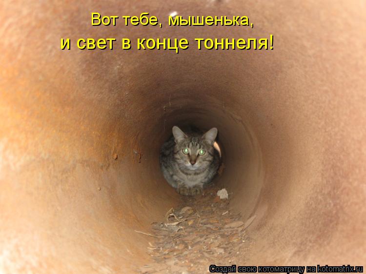 Вот тебе, мышенька, и свет в конце тоннеля!... Котоматрица: Вот тебе, мышенька, и свет в конце тоннеля!
