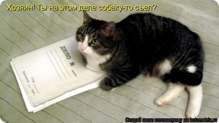 Котоматрица: Хозяин! Ты на этом деле собаку-то съел?