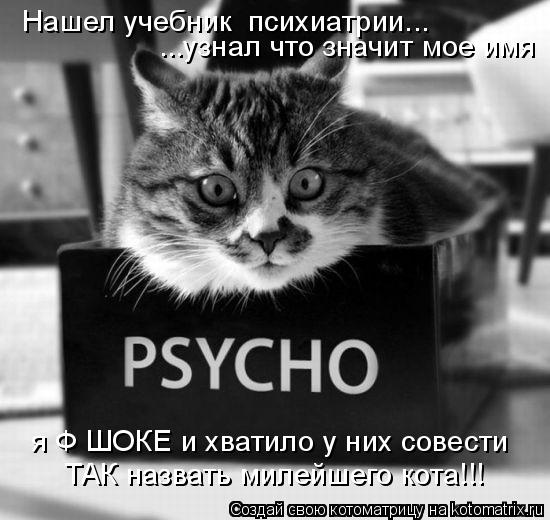 Нашел учебник психиатрии... ...узнал что значит мое имя я Ф ШОКЕ и хватило у них совести ТАК назвать... Котоматрица: Нашел учебник психиатрии... ...узнал что значит мое имя я Ф ШОКЕ и хватило у них совести ТАК назвать милейшего кота!!!
