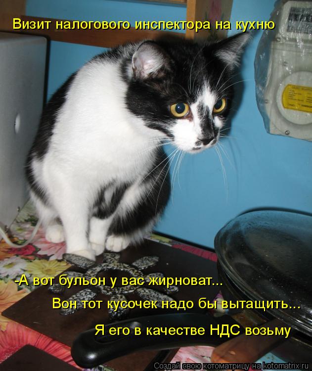 -А вот бульон у вас жирноват... Визит налогового инспектора на кухню Вон тот кусочек надо бы вытащить... Котоматрица: -А вот бульон у вас жирноват... Визит налогового инспектора на кухню Вон тот кусочек надо бы вытащить... Я его в качестве НДС возьму