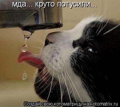 мда... круто потусили...... Котоматрица: мда... круто потусили...
