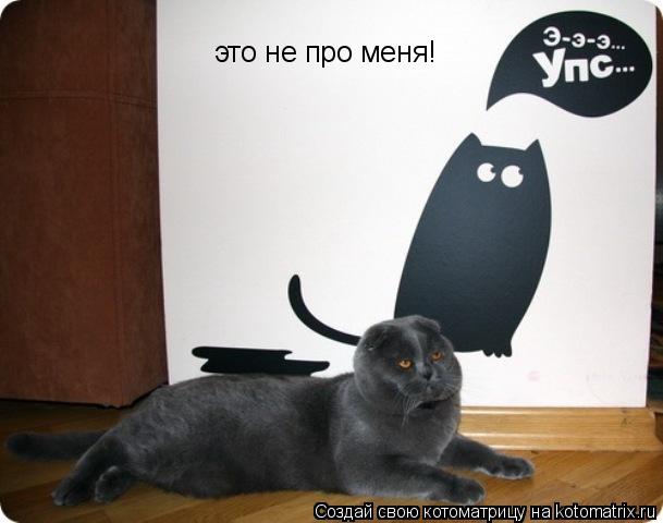 это не про меня!... Котоматрица: это не про меня!