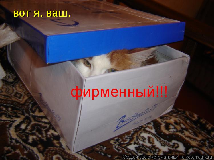 вот я. ваш. фирменный!!!... Котоматрица: вот я. ваш. фирменный!!!