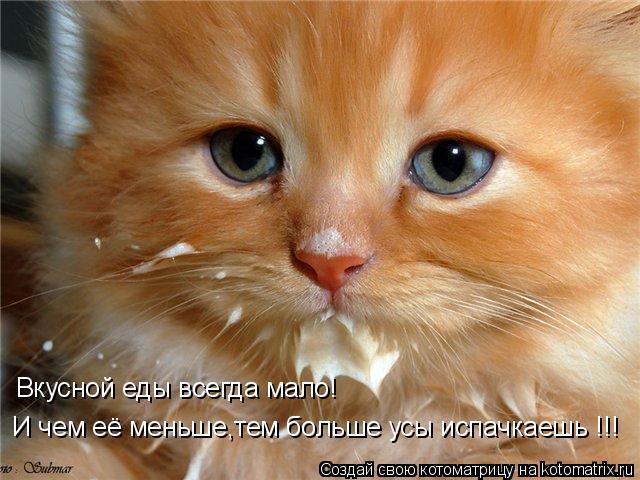 И чем её меньше,тем больше усы испачкаешь !!! Вкусной еды всегда мало!... Котоматрица: И чем её меньше,тем больше усы испачкаешь !!! Вкусной еды всегда мало!