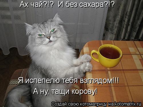 Ах чай?!? И без сахара?!? Я испепелю тебя взглядом!!! А ну, тащи корову!... Котоматрица: Ах чай?!? И без сахара?!? Я испепелю тебя взглядом!!! А ну, тащи корову!