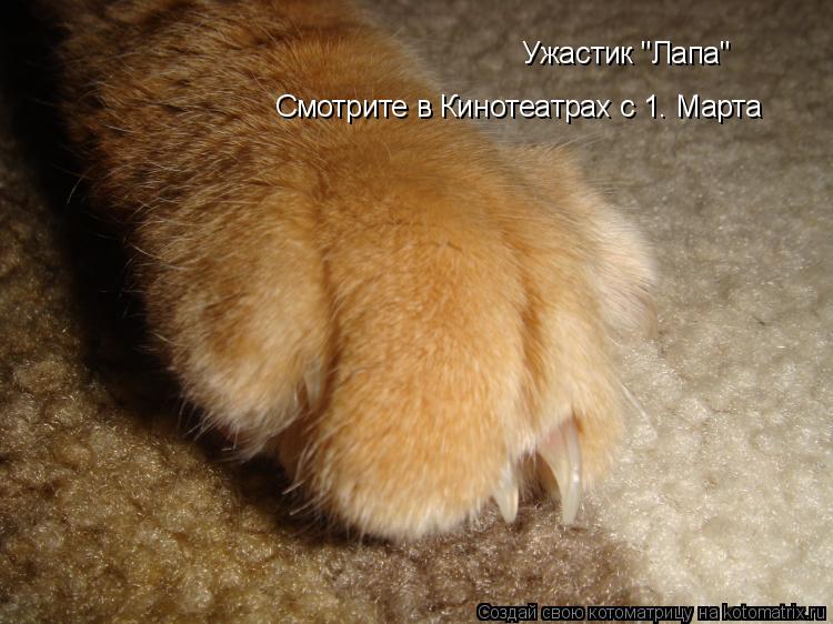 Ужастик "Лапа" Смотрите в Кинотеатрах с 1. Марта... Котоматрица: Ужастик "Лапа" Смотрите в Кинотеатрах с 1. Марта