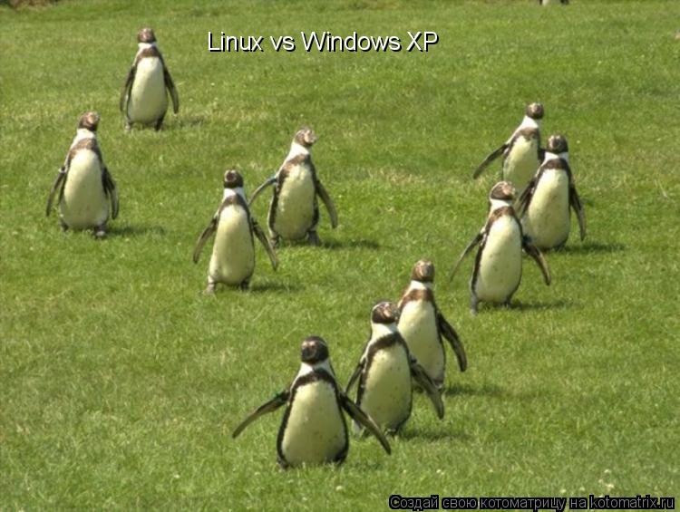 Linux vs Windows XP... Котоматрица: Linux vs Windows XP