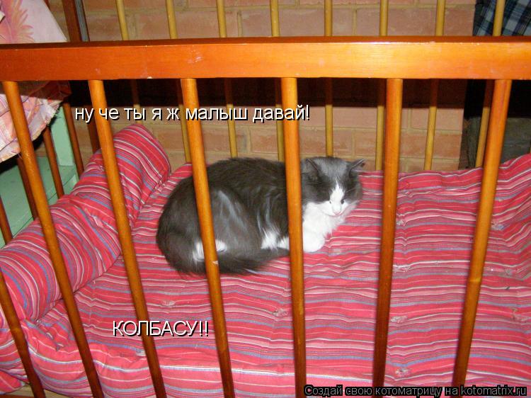 ну че ты я ж малыш давай! КОЛБАСУ!! КОЛБАСУ!!... Котоматрица: ну че ты я ж малыш давай! КОЛБАСУ!! КОЛБАСУ!!