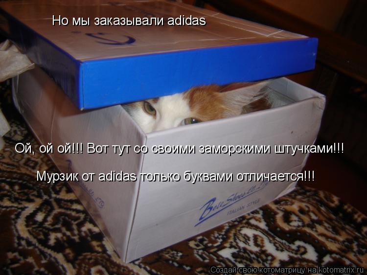 Но мы заказывали adidas Ой, ой ой!!! Вот тут со своими заморскими штучками!!! Мурзик от adidas только... Котоматрица: Но мы заказывали adidas Ой, ой ой!!! Вот тут со своими заморскими штучками!!! Мурзик от adidas только буквами отличается!!!