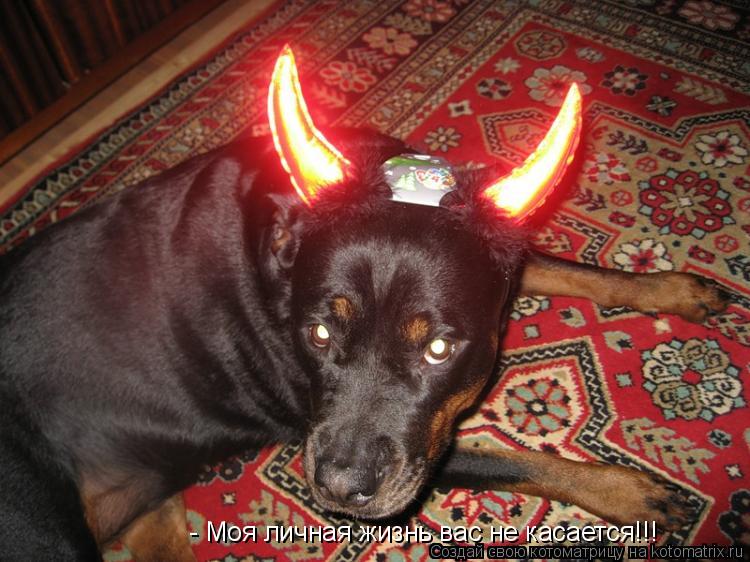 - Моя личная жизнь вас не касается!!!... Котоматрица: - Моя личная жизнь вас не касается!!!