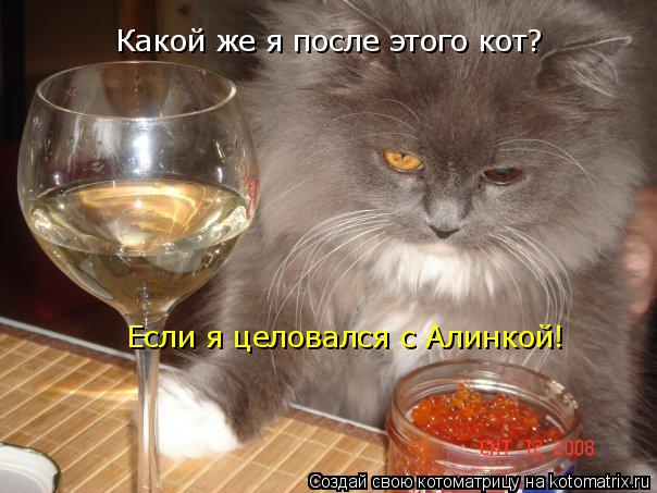 Какой же я после этого кот? Какой же я после этого кот? Если я целовался с Алинкой!... Котоматрица: Какой же я после этого кот? Какой же я после этого кот? Если я целовался с Алинкой!