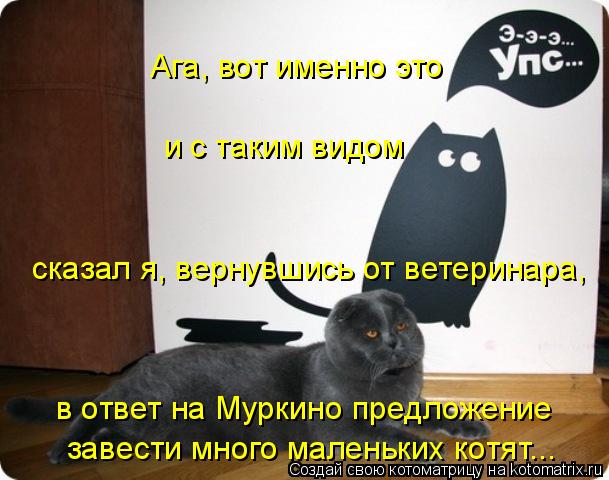 Ага, вот именно это и с таким видом сказал я, вернувшись от ветеринара, в ответ на Муркино предложен... Котоматрица: Ага, вот именно это и с таким видом сказал я, вернувшись от ветеринара, в ответ на Муркино предложение завести много маленьких котят...