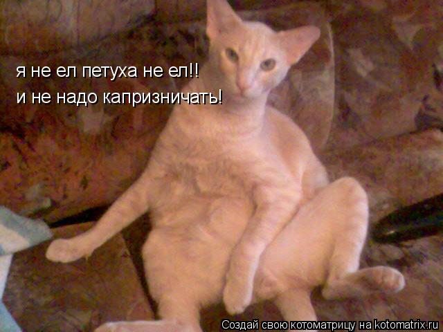 я не ел петуха не ел!! и не надо капризничать!... Котоматрица: я не ел петуха не ел!! и не надо капризничать!