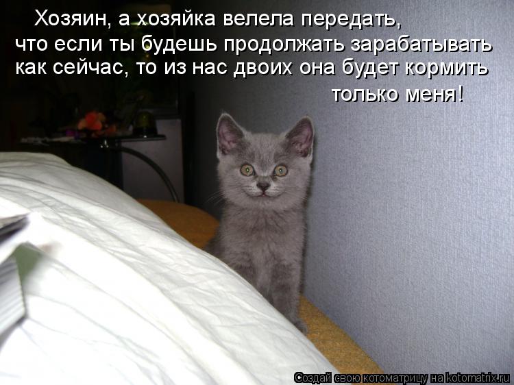 Хозяин, а хозяйка велела передать, что если ты будешь продолжать зарабатывать как сейчас, то из нас... Котоматрица: Хозяин, а хозяйка велела передать, что если ты будешь продолжать зарабатывать как сейчас, то из нас двоих она будет кормить только меня!