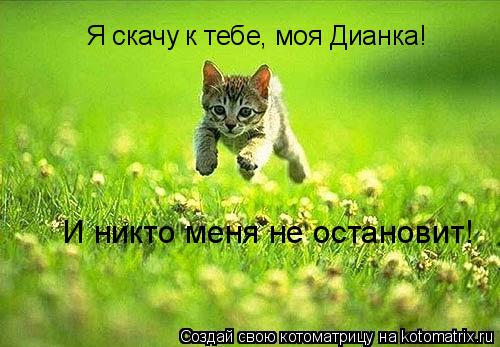 Я скачу к тебе, моя Дианка! И никто меня не остановит!... Котоматрица: Я скачу к тебе, моя Дианка! И никто меня не остановит!