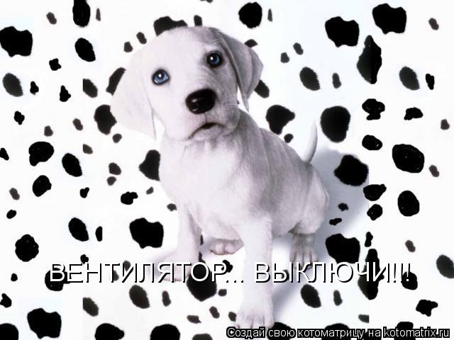 Котоматрица: ВЕНТИЛЯТОР... ВЫКЛЮЧИ!!!