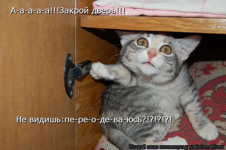 А-а-а-а-а!!!Закрой дверь!!! Не видишь:пе-ре-о-де-ва-юсь?!?!?!?!... Котоматрица: А-а-а-а-а!!!Закрой дверь!!! Не видишь:пе-ре-о-де-ва-юсь?!?!?!?!