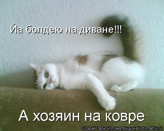 Йа болдею на диване!!! А хозяин на ковре... Котоматрица: Йа болдею на диване!!! А хозяин на ковре