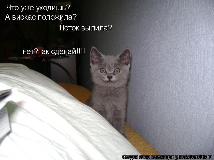 Что,уже уходишь? А вискас положила? Лоток вылила? нет?так сделай!!!!... Котоматрица: Что,уже уходишь? А вискас положила? Лоток вылила? нет?так сделай!!!!
