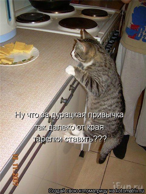 Котоматрица: Ну что за дурацкая привычка так далеко от края тарелки ставить???