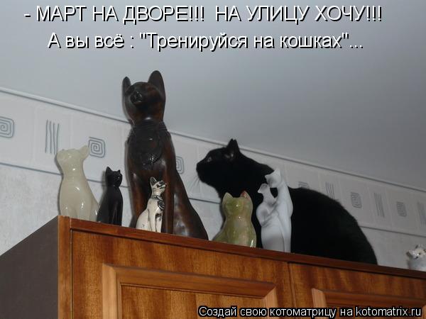 - МАРТ НА ДВОРЕ!!! НА УЛИЦУ ХОЧУ!!! А вы всё : "Тренируйся на кошках"...... Котоматрица: - МАРТ НА ДВОРЕ!!! НА УЛИЦУ ХОЧУ!!! А вы всё : "Тренируйся на кошках"...