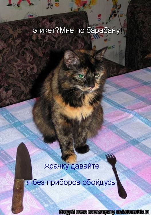 этикет?Мне по барабану! жрачку давайте я без приборов обойдусь... Котоматрица: этикет?Мне по барабану! жрачку давайте я без приборов обойдусь
