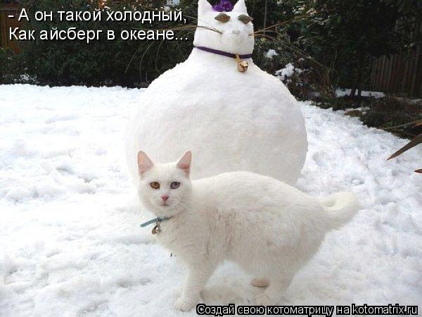- А он такой холодный, Как айсберг в океане...... Котоматрица: - А он такой холодный, Как айсберг в океане...