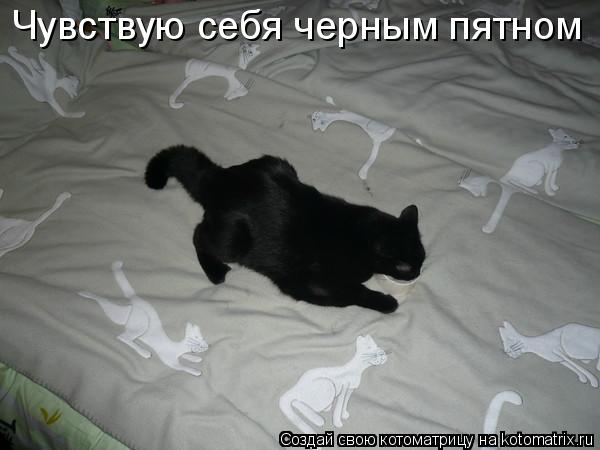 Чувствую себя черным пятном... Котоматрица: Чувствую себя черным пятном