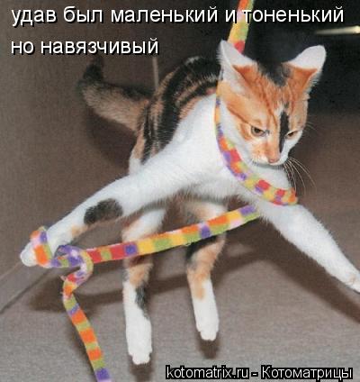 удав был маленький и тоненький но навязчивый... Котоматрица: удав был маленький и тоненький но навязчивый