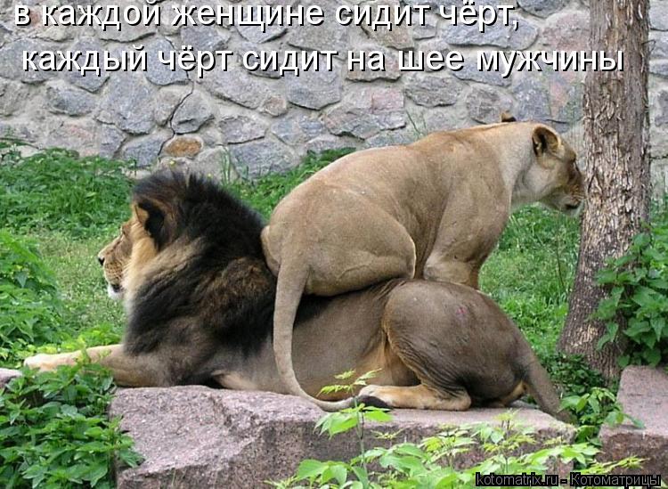 в каждой женщине сидит чёрт, каждый чёрт сидит на шее мужчины... Котоматрица: в каждой женщине сидит чёрт, каждый чёрт сидит на шее мужчины