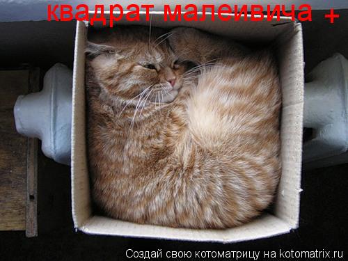 квадрат малеивича +... Котоматрица: квадрат малеивича +