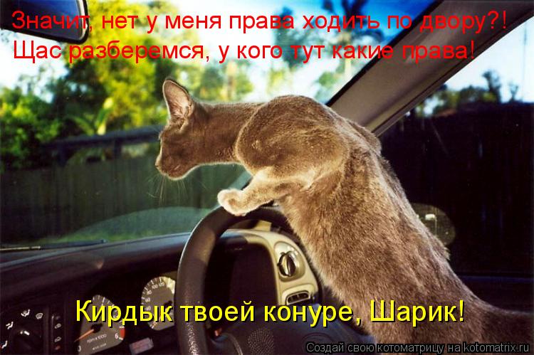 Значит, нет у меня права ходить по двору?! Щас разберемся, у кого тут какие права! Кирдык твоей конур... Котоматрица: Значит, нет у меня права ходить по двору?! Щас разберемся, у кого тут какие права! Кирдык твоей конуре, Шарик!