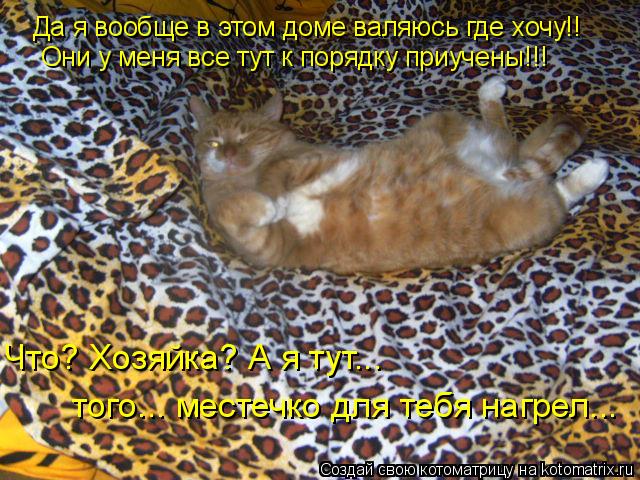 Да я вообще в этом доме валяюсь где хочу!! Они у меня все тут к порядку приучены!!! Что? Хозяйка? А я... Котоматрица: Да я вообще в этом доме валяюсь где хочу!! Они у меня все тут к порядку приучены!!! Что? Хозяйка? А я тут... того... местечко для тебя нагрел...