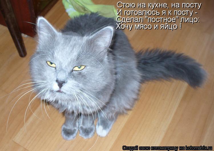 Котоматрица: Стою на кухне, на посту И готовлюсь я к посту - Сделал "постное" лицо: Хочу мясо и яйцо !