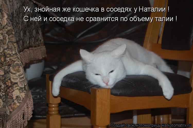 Ух, знойная же кошечка в соседях у Наталии ! С ней и соседка не сравнится по объему талии !... Котоматрица: Ух, знойная же кошечка в соседях у Наталии ! С ней и соседка не сравнится по объему талии !