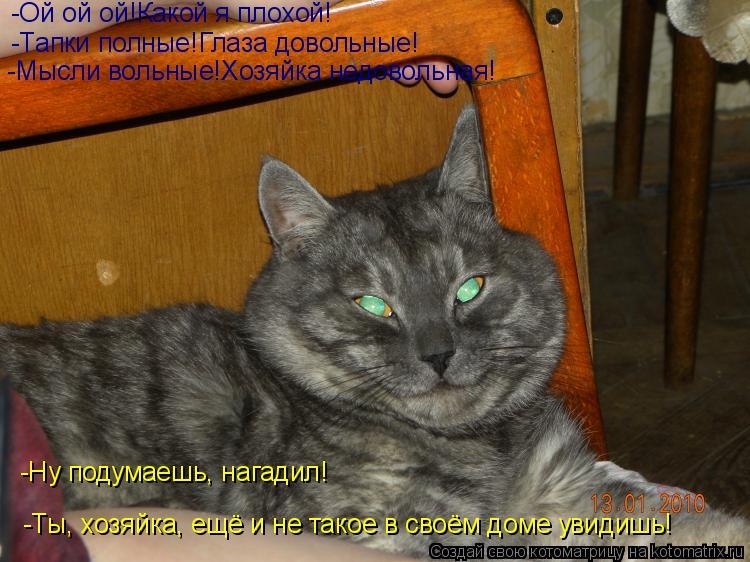 -Ой ой ой!Какой я плохой! -Тапки полные!Глаза довольные! -Мысли вольные!Хозяйка недовольная! -Ты, хоз... Котоматрица: -Ой ой ой!Какой я плохой! -Тапки полные!Глаза довольные! -Мысли вольные!Хозяйка недовольная! -Ты, хозяйка, ещё и не такое в своём доме увидишь! -