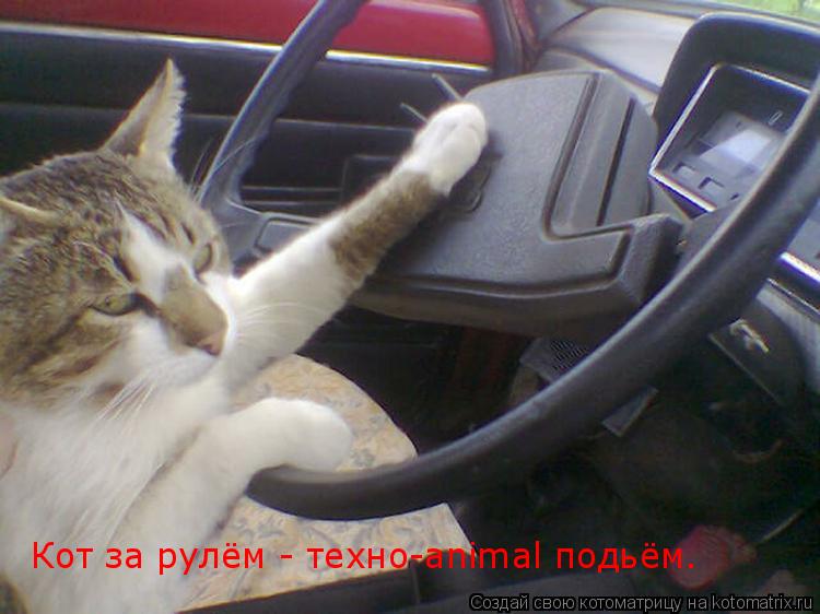 Юмор на дороге и около