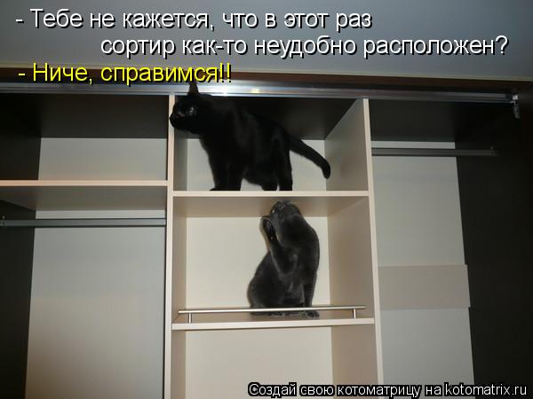 - Тебе не кажется, что в этот раз сортир как-то неудобно расположен? - Ниче, справимся!!... Котоматрица: - Тебе не кажется, что в этот раз сортир как-то неудобно расположен? - Ниче, справимся!!