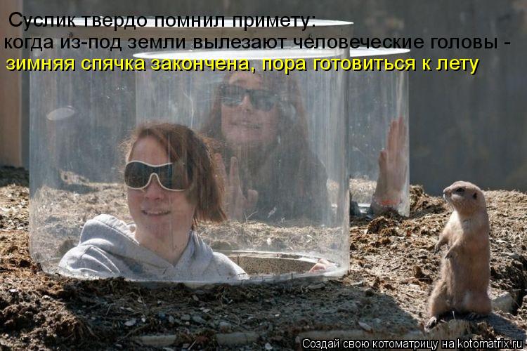 Суслик твердо помнил примету: когда из-под земли вылезают человеческие головы - зимняя спячка законче... Котоматрица: Суслик твердо помнил примету: когда из-под земли вылезают человеческие головы - зимняя спячка закончена, пора готовиться к лету