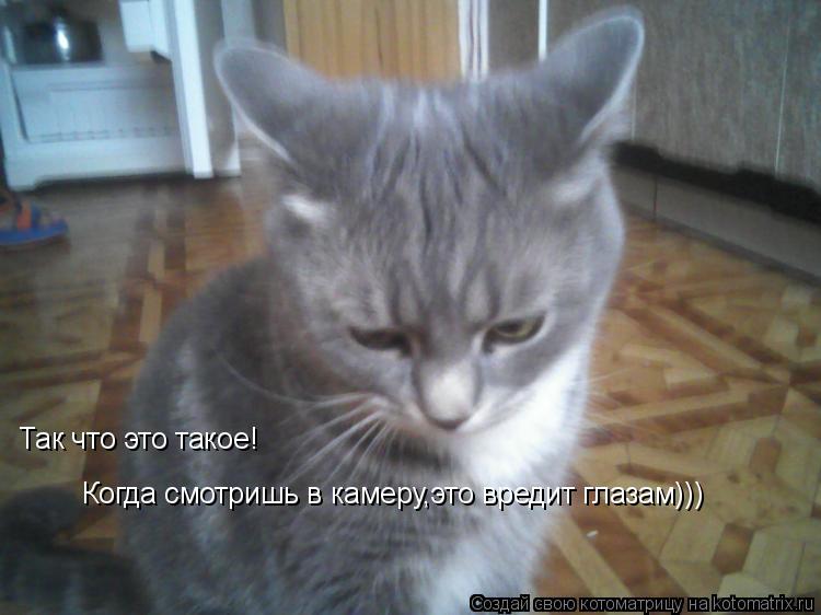 Когда смотришь в камеру,это вредит глазам))) Так что это такое!... Котоматрица: Когда смотришь в камеру,это вредит глазам))) Так что это такое!