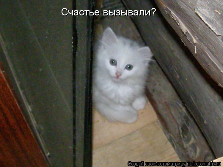 Счастье вызывали?... Котоматрица: Счастье вызывали?
