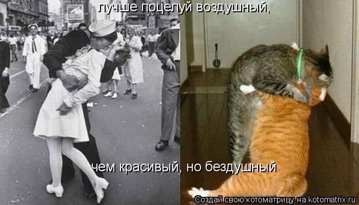 лучше поцелуй воздушный, чем красивый, но бездушный... Котоматрица: лучше поцелуй воздушный, чем красивый, но бездушный