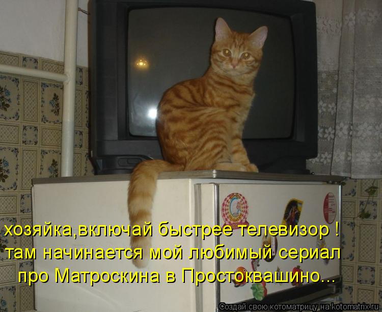 хозяйка,включай быстрее телевизор ! там начинается мой любимый сериал про Матроскина в Простоквашин... Котоматрица: хозяйка,включай быстрее телевизор ! там начинается мой любимый сериал про Матроскина в Простоквашино...
