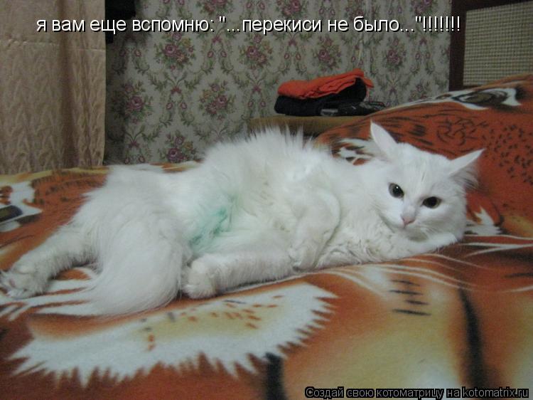 Котоматрица: я вам еще вспомню: "...перекиси не было..."!!!!!!!