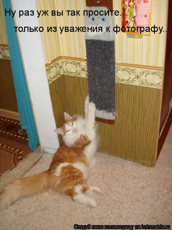 Ну раз уж вы так просите... только из уважения к фотографу...... Котоматрица: Ну раз уж вы так просите... только из уважения к фотографу...