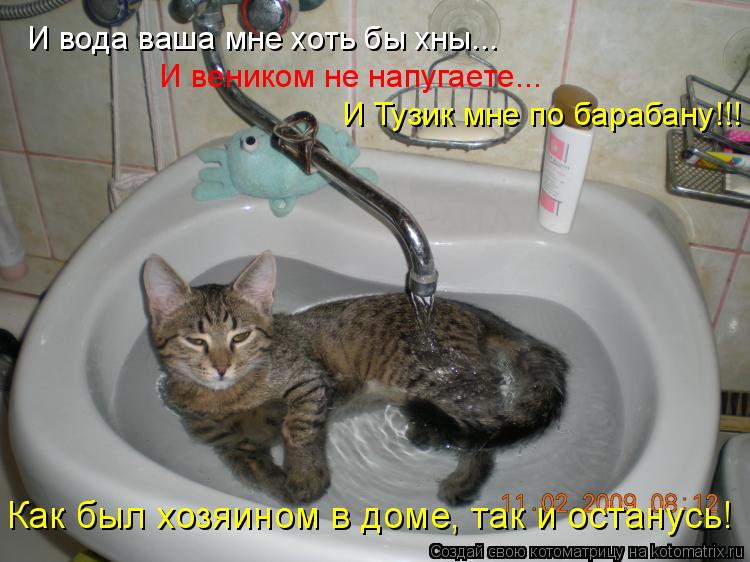 И вода ваша мне хоть бы хны... И веником не напугаете... И Тузик мне по барабану!!! Как был хозяином ... Котоматрица: И вода ваша мне хоть бы хны... И веником не напугаете... И Тузик мне по барабану!!! Как был хозяином в доме, так и останусь!