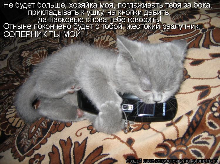 Не будет больше, хозяйка моя, поглаживать тебя за бока, прикладывать к ушку, на кнопки давить, да лас... Котоматрица: Не будет больше, хозяйка моя, поглаживать тебя за бока, прикладывать к ушку, на кнопки давить, да ласковые слова тебе говорить! Отныне покон